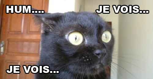 chat-voyance1 chat-voyance1